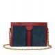 Ophidia Small Suede Chain Shoulder NMV3YAX