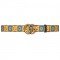 Gucci Blue orange canvas belt