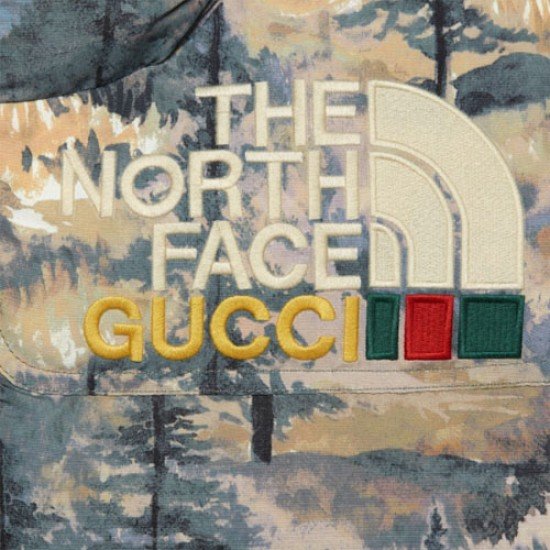 The North Face x Gucci