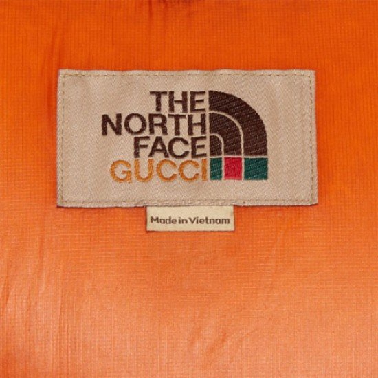 The North Face x Gucci