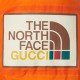 The North Face x Gucci