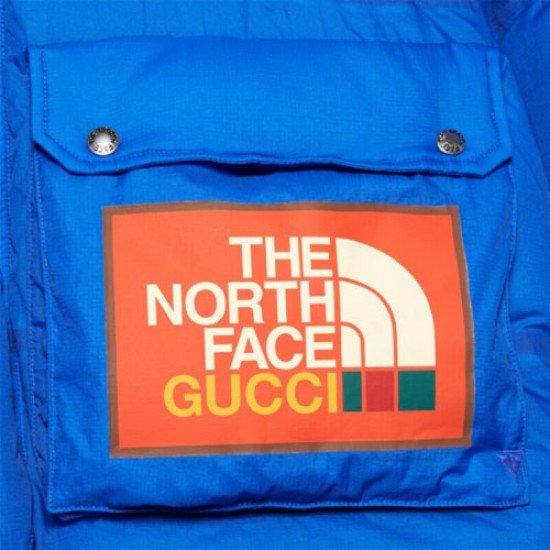 The North Face x Gucci