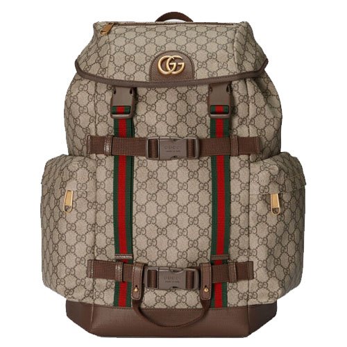 GG Skateboard Backpack 690999 97S8T 8983