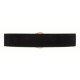 Gucci Blondie wide belt