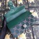 Green Dionysus GG Velvet Small Bag