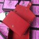 Red Dionysus Mini Chain Leather Bag